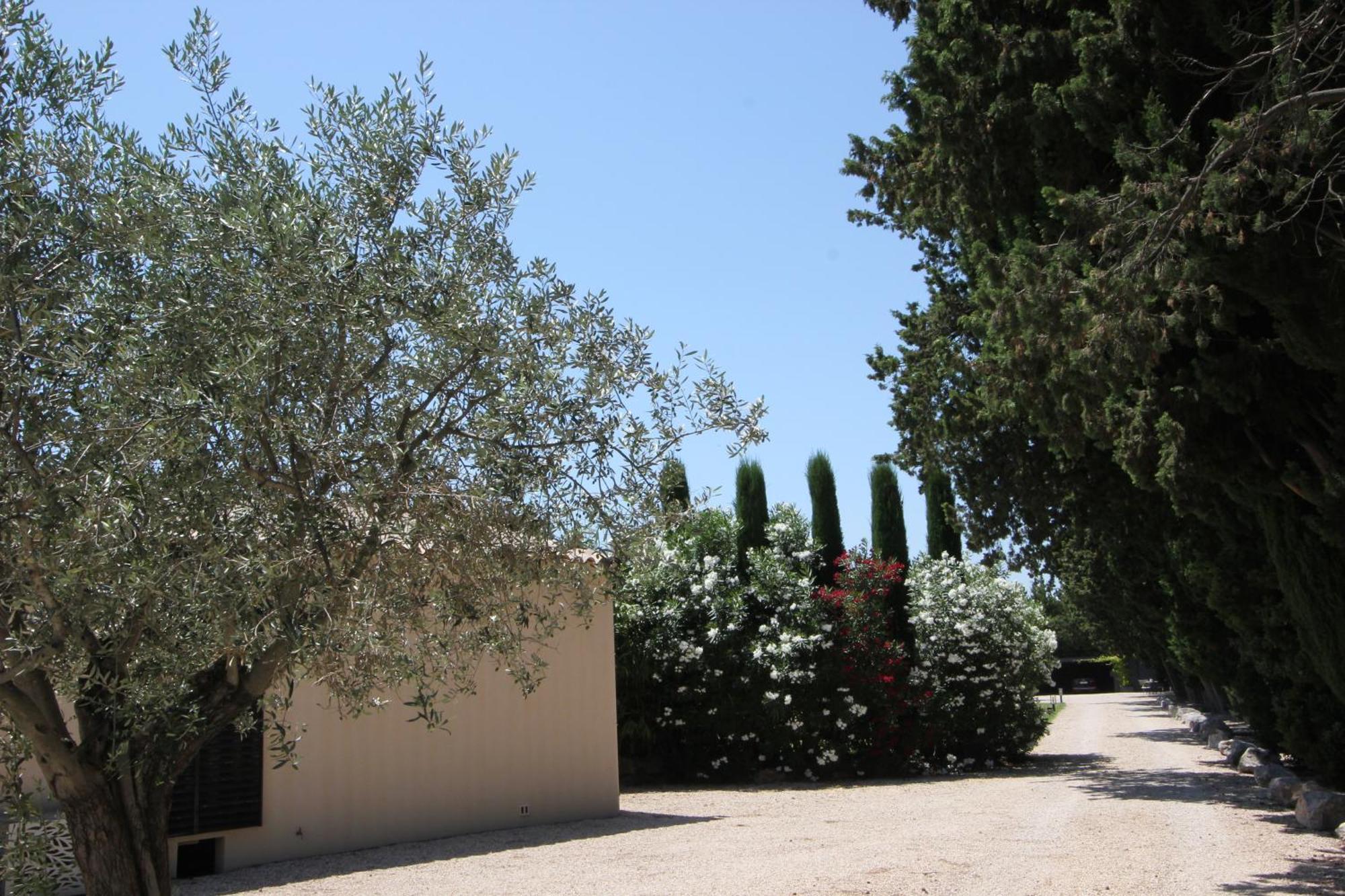 Bed and Breakfast Mas Paloma Rognonas Exteriér fotografie